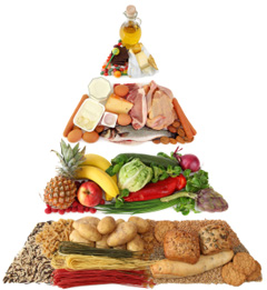 Illustration for article titled The Worst Lies That Mainstream Nutrition Has Told You